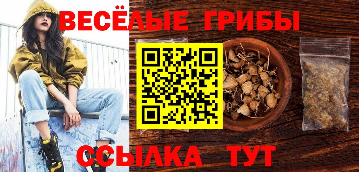 Галлюциногенные грибы мухоморы  Вход с VPN  сколько стоит  Кандалакша 