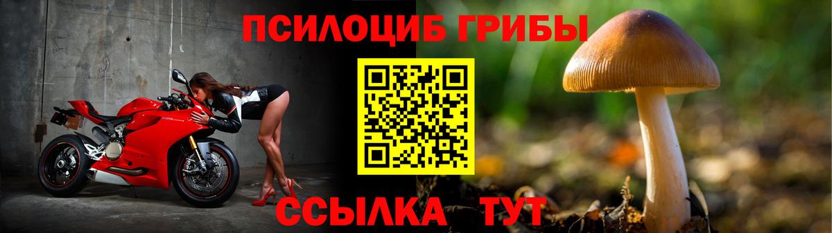 Галлюциногенные грибы Magic Shrooms Кандалакша